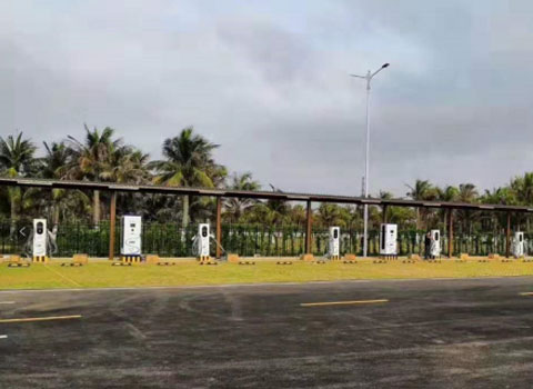 ？诨鸪嫡境涞缯(图1)